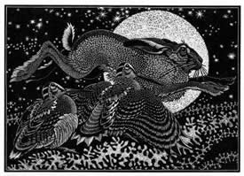 Nocturnal Encounters - Hare and Woodcocks