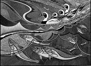 Long-tailed Duck and Whiting