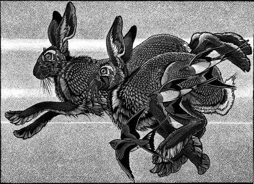 Flying with Hares Running with Swallows