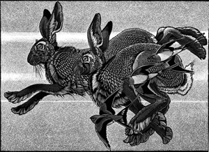 Flying with Hares Running with Swallows